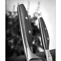 Fileteador Wüsthof Epicure